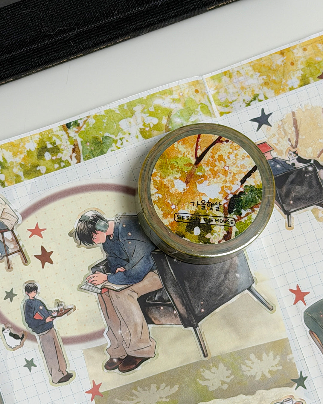 Autumn Sunlight MT Washi Tape